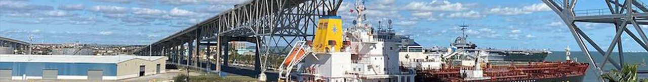 EAGLESFORDTERMINAL - The Company